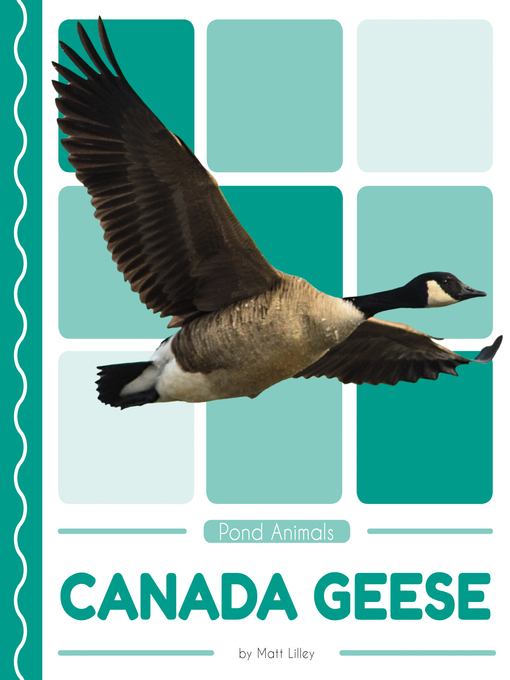 Title details for Canada Geese by Matt Lilley - Available